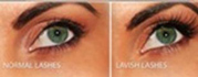 Lash extension